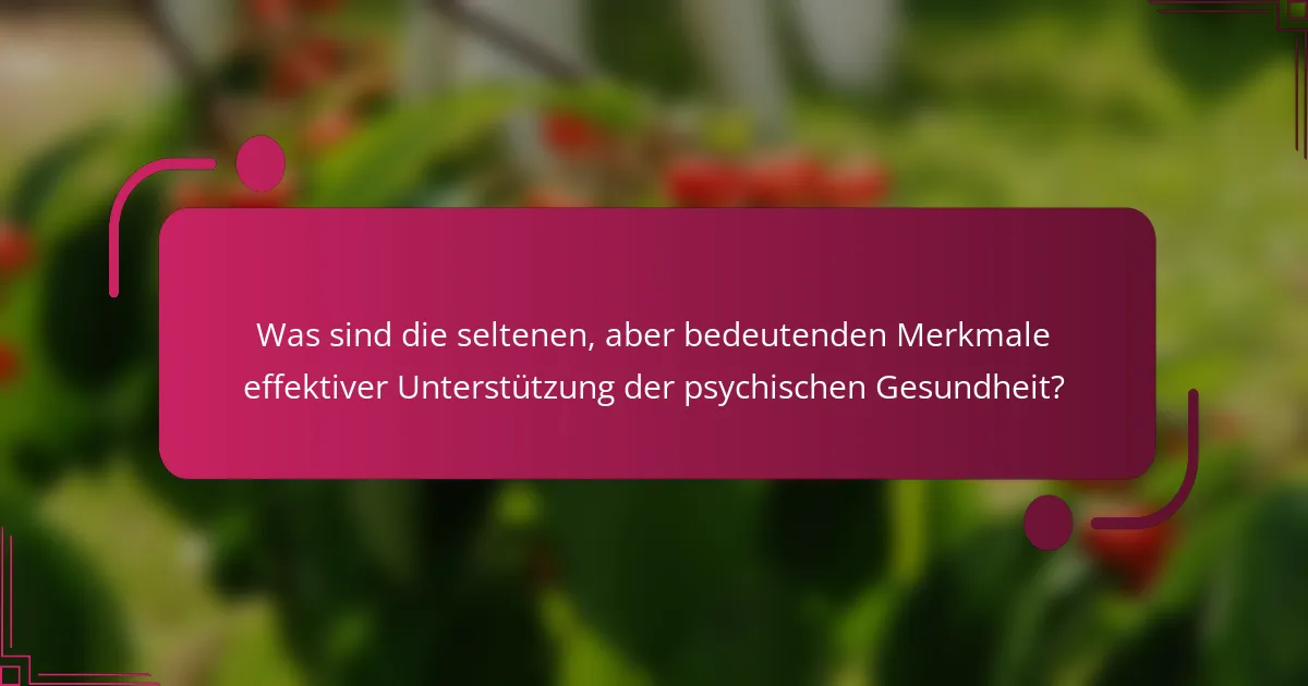 Was sind die seltenen, aber bedeutenden Merkmale effektiver Unterstützung der psychischen Gesundheit?