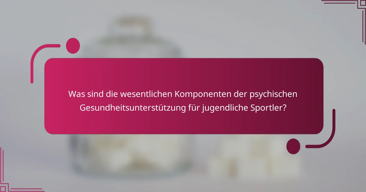 Was sind die wesentlichen Komponenten der psychischen Gesundheitsunterstützung für jugendliche Sportler?