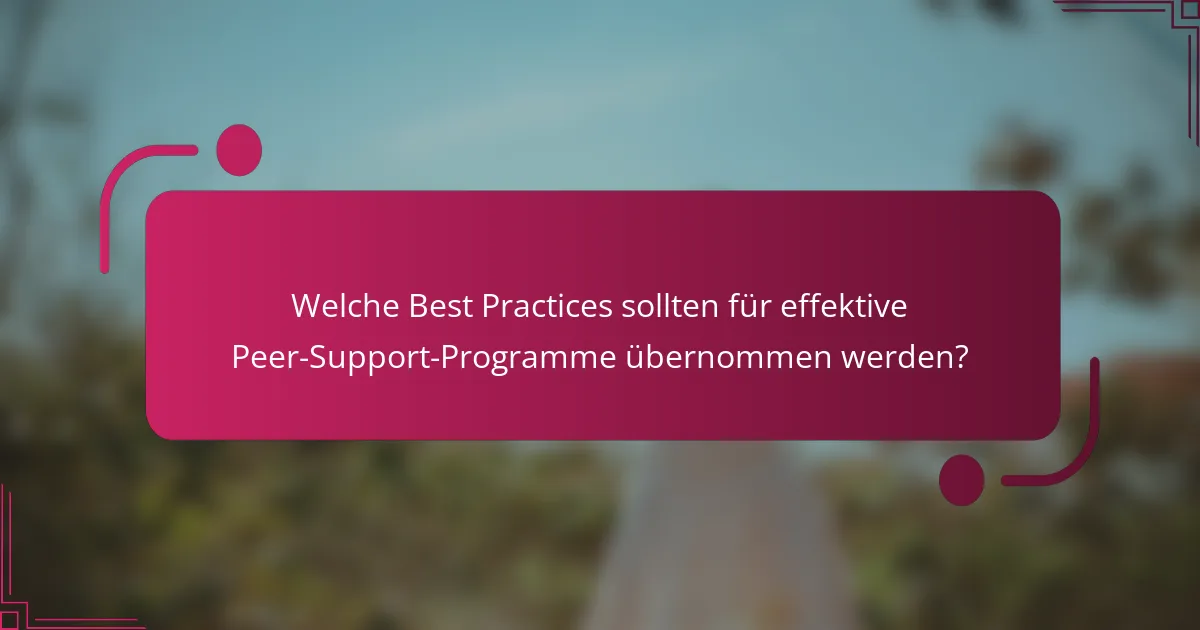 Welche Best Practices sollten für effektive Peer-Support-Programme übernommen werden?