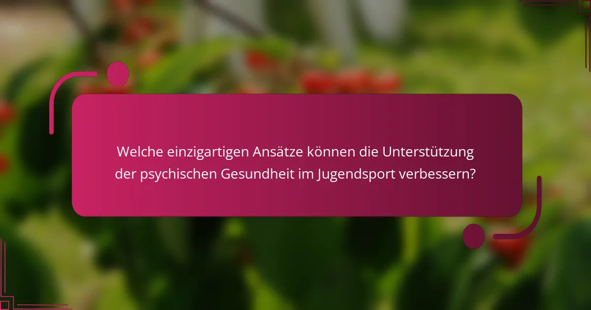 Welche einzigartigen Ansätze können die Unterstützung der psychischen Gesundheit im Jugendsport verbessern?